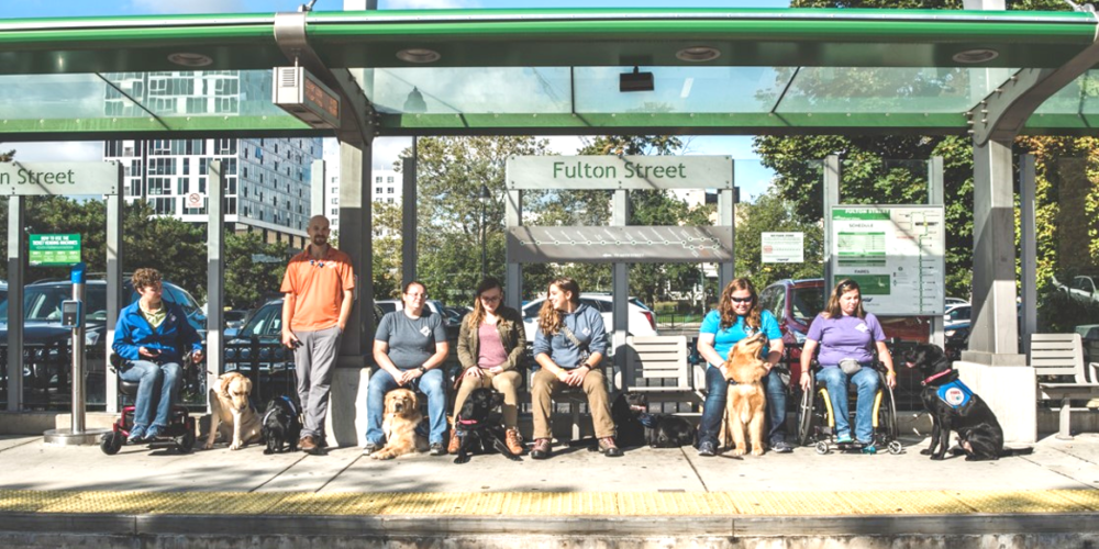 Travel training with individuals at bus stop with service dogs